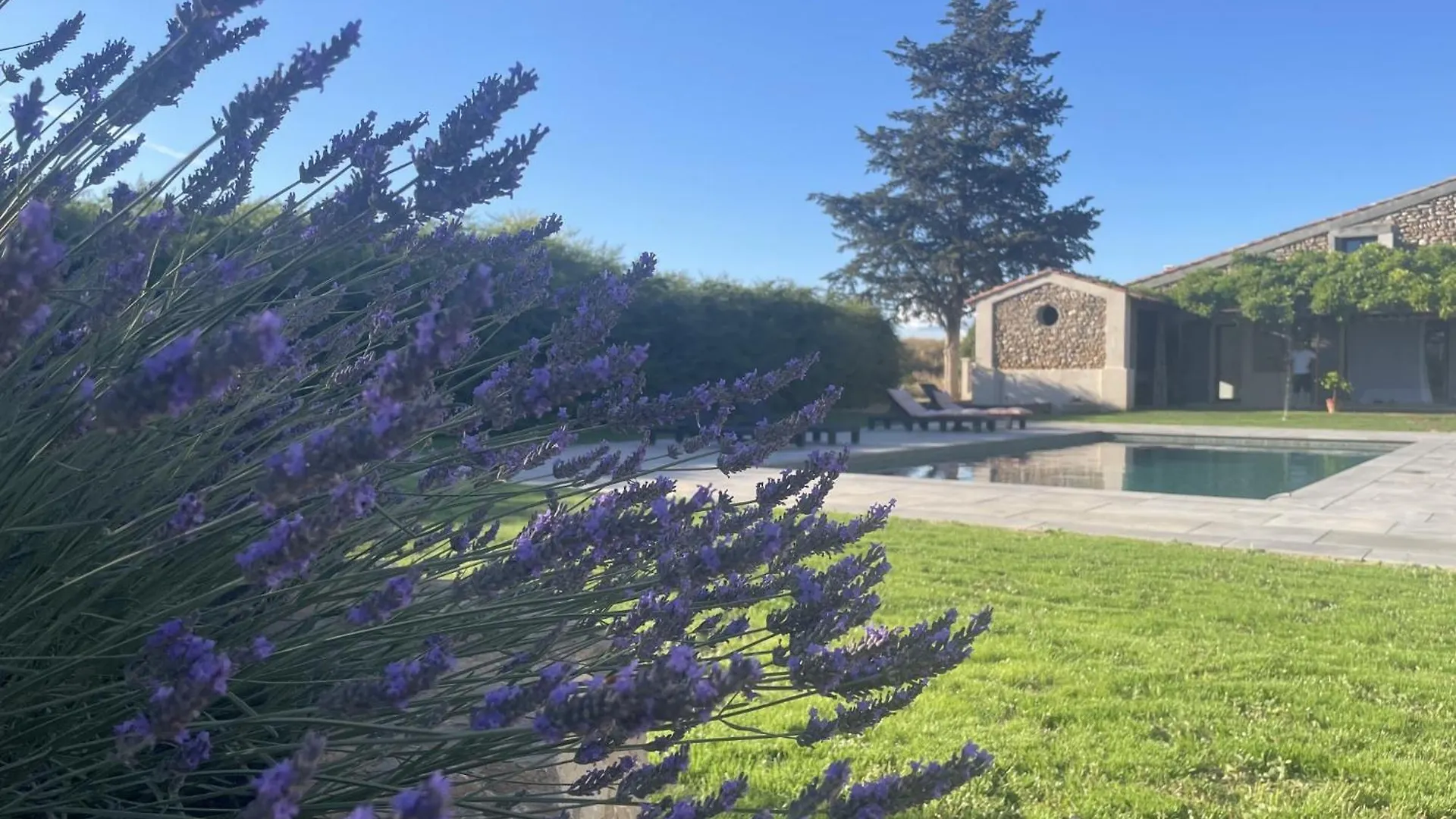 Guest house Les Mazets Du Pas Hotel Greoux-les-Bains